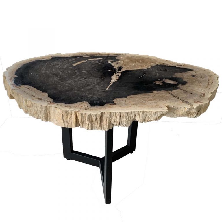 Versteend hout salontafel