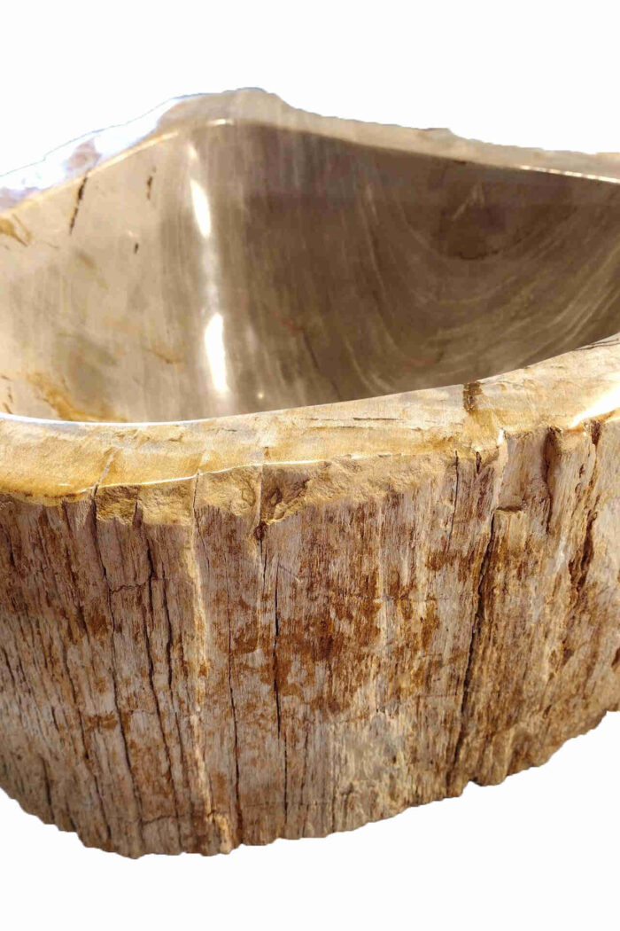 waskom-versteend-hout-WVH41215A
