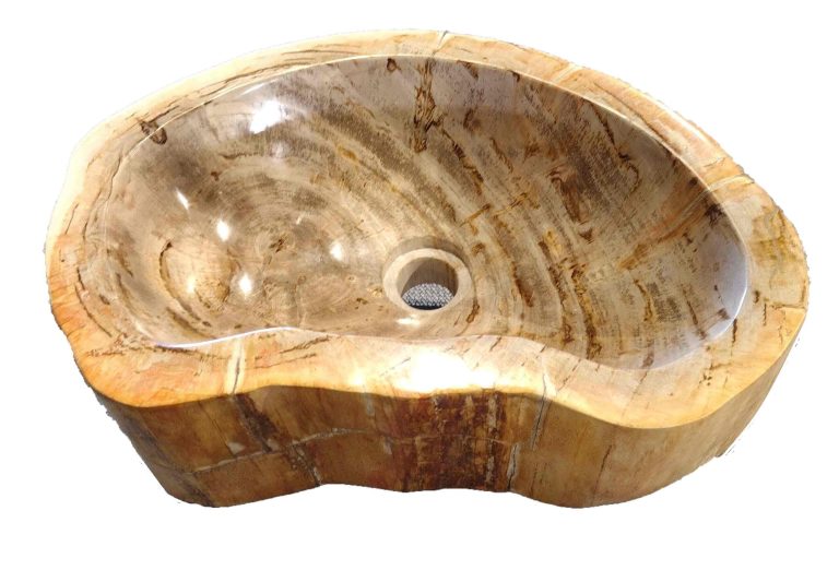 Waskom versteend hout