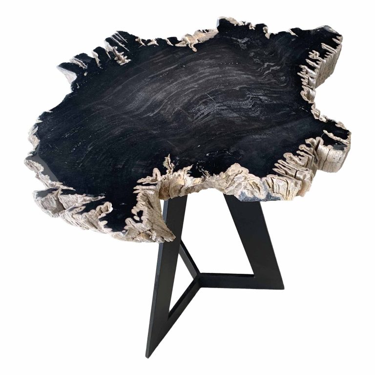 Versteend hout bijzettafel