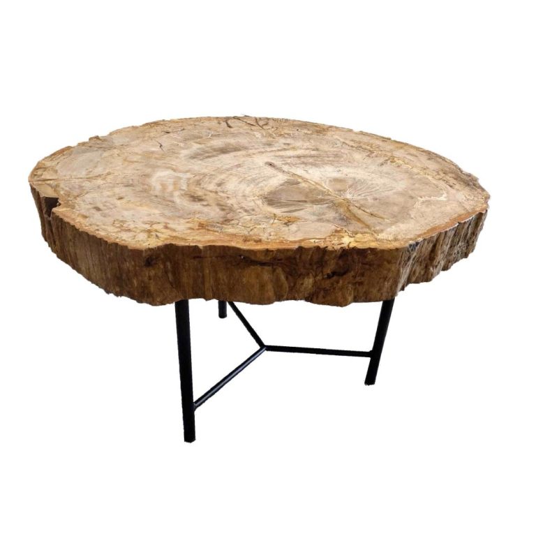 Versteend hout bijzettafel WVH20232209