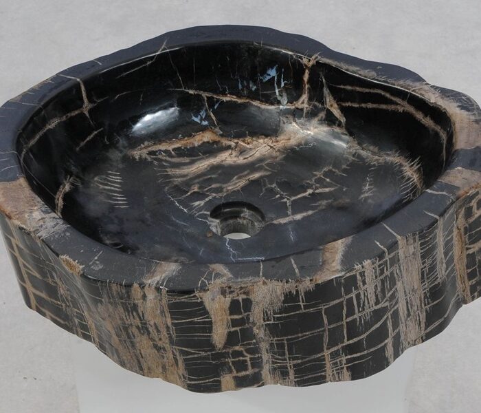 Versteend hout wasbak