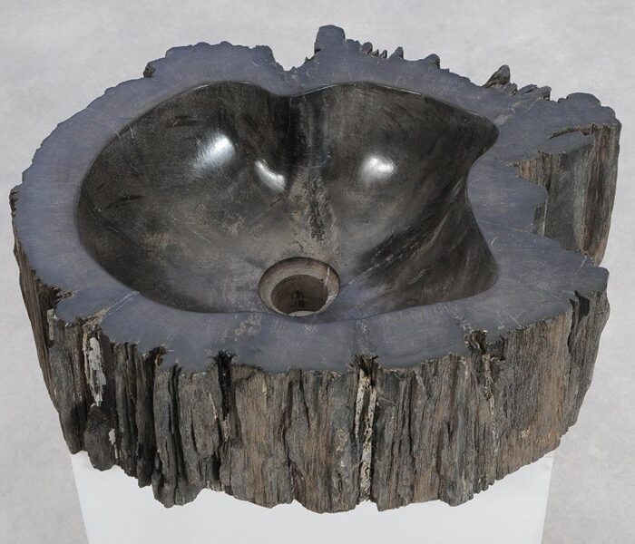 Versteend hout wasbak WVH4493680